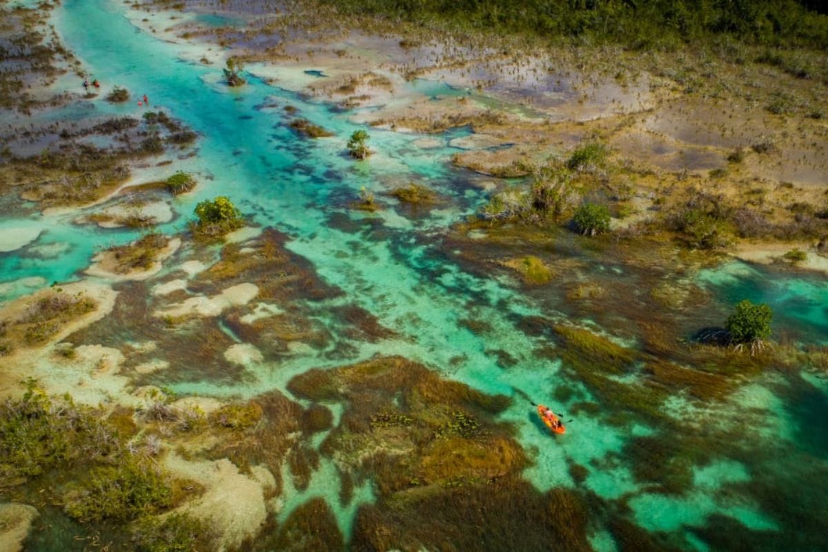 Exploring Paradise: The Ultimate Guide to Eco-Adventures in Bacalar and Holbox